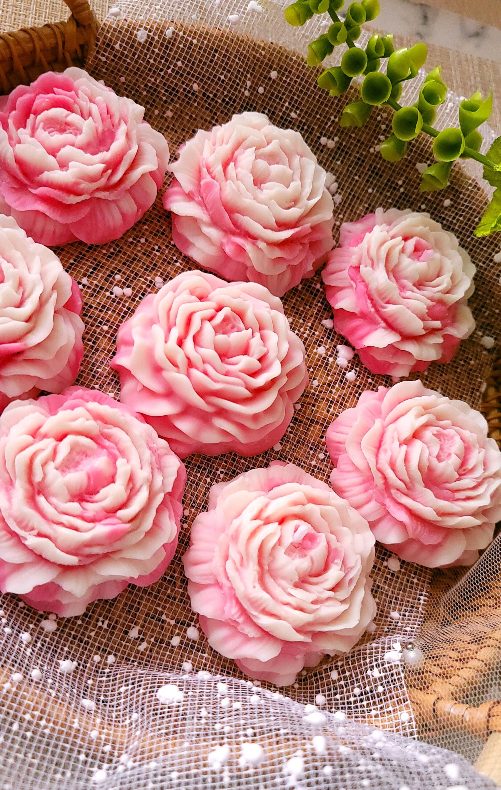 Piwonia Ombre w ozdobnym pudełku - na DZIEŃ NAUCZYCIELA - obrazek 6